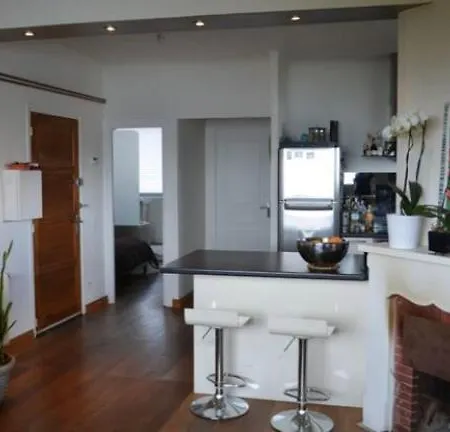 F2 Lumineux-tres Belle Vue Apartment *